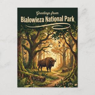 Carte Postale Parc national de Bialowieza Pologne