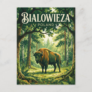 Carte Postale Parc national de Bialowieza Pologne