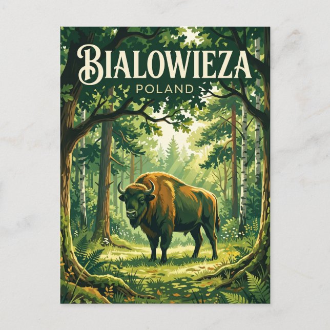 Carte Postale Parc national de Bialowieza Pologne (Devant)