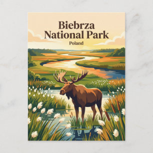 Carte Postale Parc national de Biebrza Pologne