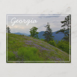 Carte Postale Parc national de Borjomi-Kharagauli Géorgie Caucus