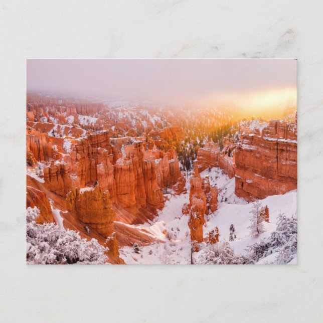 Carte Postale Parc national de Bryce Canyon (Devant)