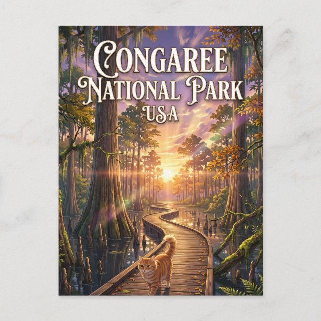 Carte Postale Parc national de Congaree aux États-Unis (Devant)
