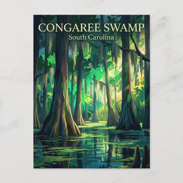 Carte Postale Parc national de Congaree Caroline du Sud (Devant)
