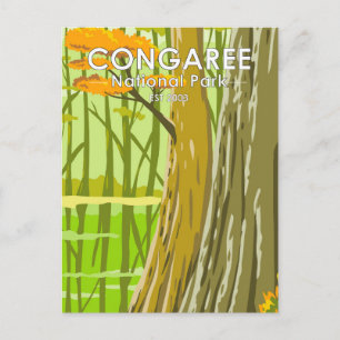 Carte Postale Parc national de Congaree Caroline du Sud Art Vint