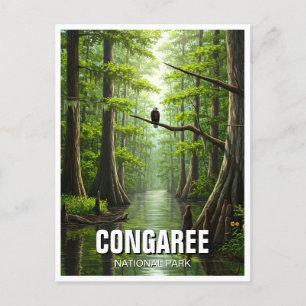 Carte Postale Parc national de Congaree Caroline du Sud Voyage