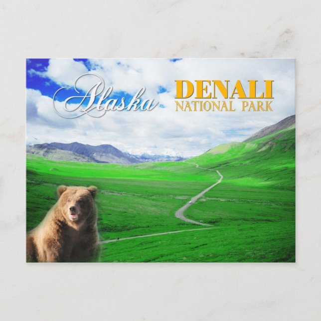 Carte Postale Parc national de Denali, Alaska (Devant)