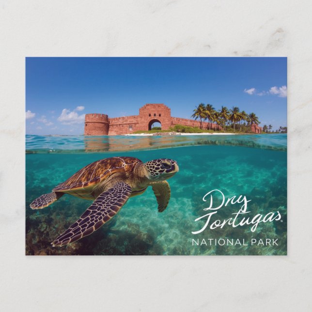 Carte Postale Parc national de Dry Tortugas (Devant)