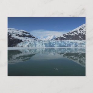 Carte Postale Parc National De Glacier Bay En Alaska
