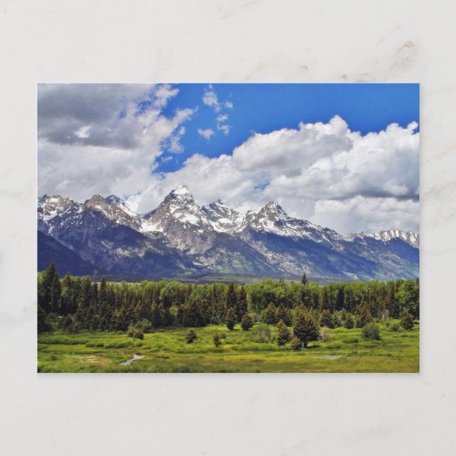 Carte Postale Parc national de Grand Teton. (Devant)