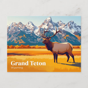 Carte Postale Parc national de Grand Teton Wyoming