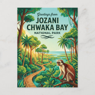 Carte Postale Parc national de Jozani Chwaka Bay Tanzanie