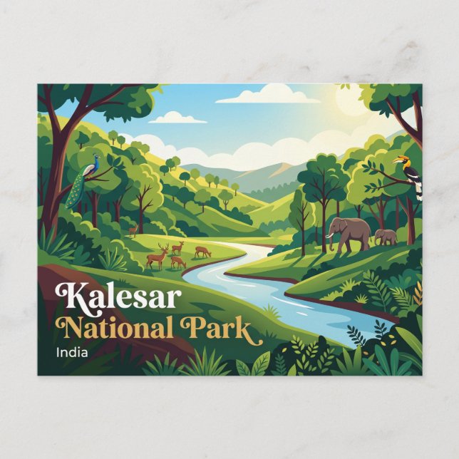 Carte Postale Parc national de Kalesar Inde (Devant)