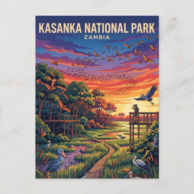 Carte Postale Parc national de Kasanka Zambie (Devant)