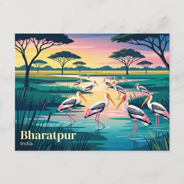 Carte Postale Parc national de Keoladeo Inde (Devant)