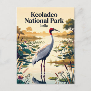 Carte Postale Parc national de Keoladeo Inde