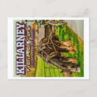 PARC NATIONAL DE KILLARNEY - IRLANDE DE KILLARNEY