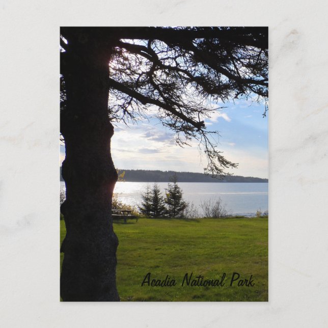 Carte Postale Parc national de l'Acadie, Maine (Devant)