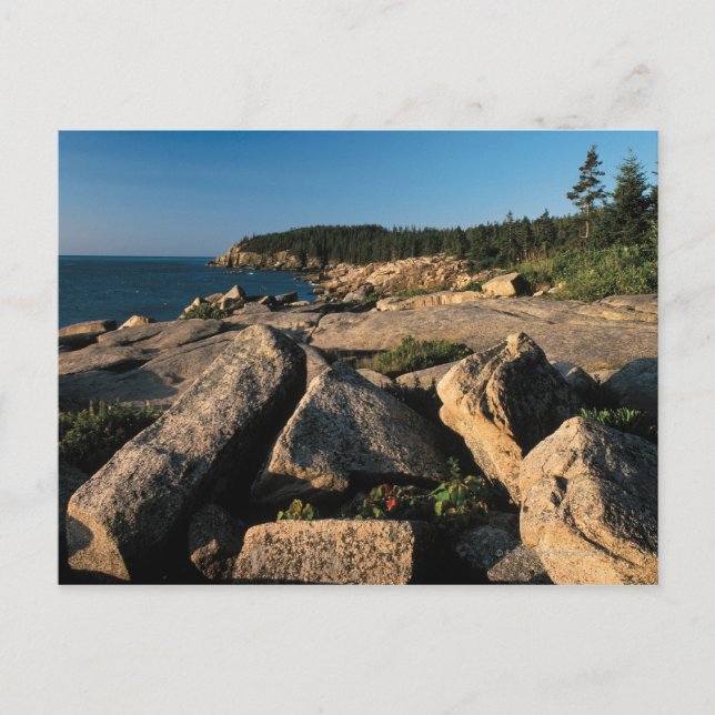 Carte Postale Parc national de l'Acadie, Maine 2 (Devant)