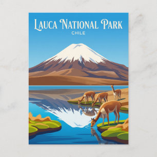 Carte Postale Parc national de Lauca Chili