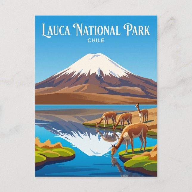 Carte Postale Parc national de Lauca Chili (Devant)