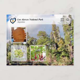 Carte Postale Parc national de Los Alerces à l'UNESCO