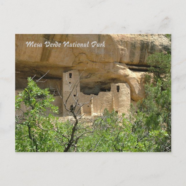 Carte Postale Parc national de Mesa Verde (Devant)