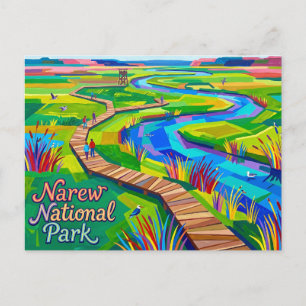 Carte Postale Parc national de Narew Pologne