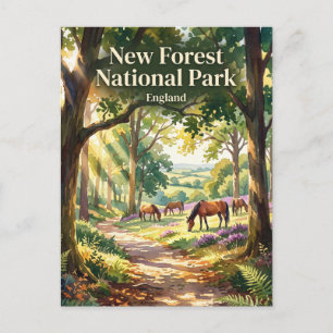 Carte Postale Parc national de New Forest Royaume-Uni