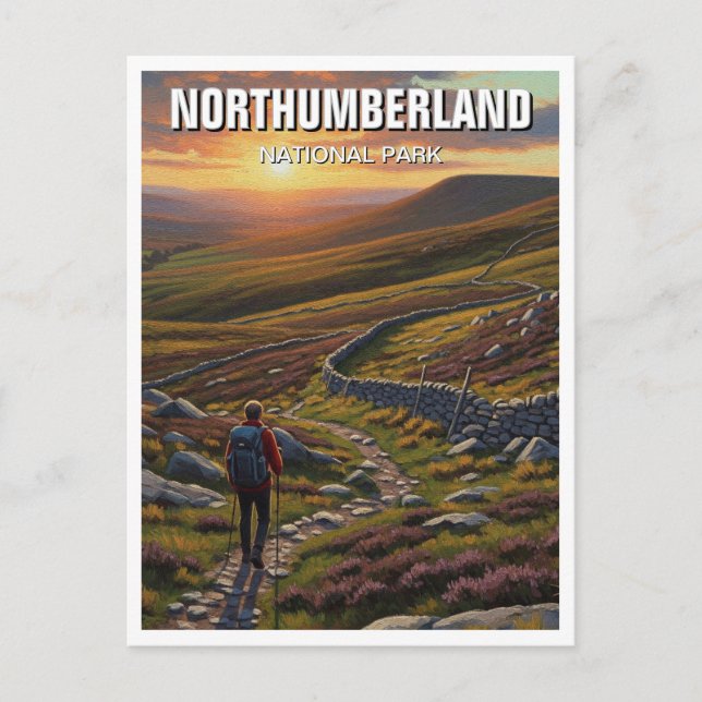 Carte Postale Parc national de Northumberland Angleterre (Devant)