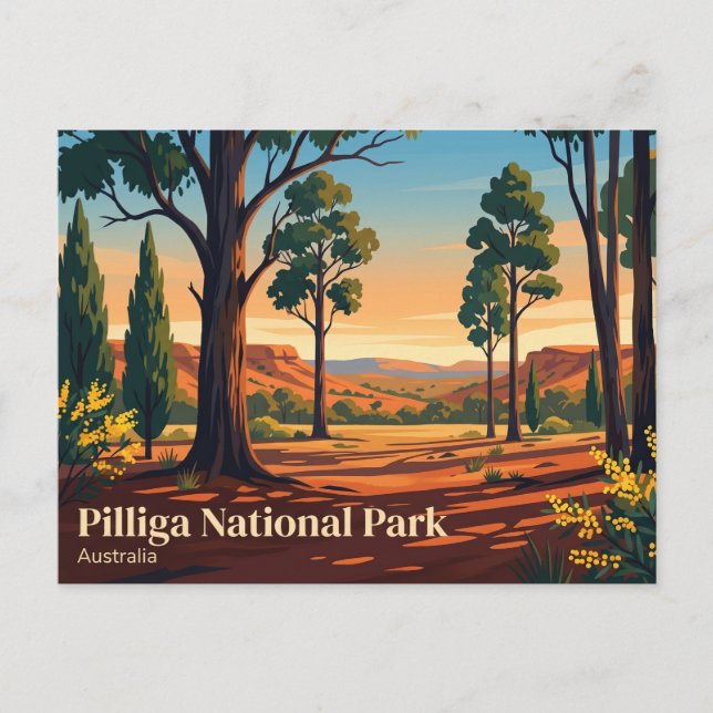 Carte Postale Parc national de Pilliga Australie (Devant)
