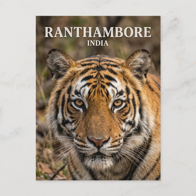 Carte Postale Parc national de Ranthambore Inde (Devant)
