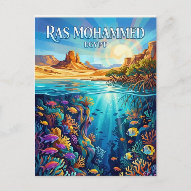 Carte Postale Parc national de Ras Mohammed Égypte (Devant)