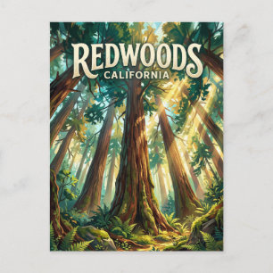 Carte Postale Parc national de Redwood États-Unis