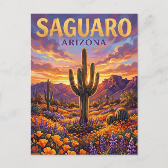 Carte Postale Parc national de Saguaro États-Unis (Devant)