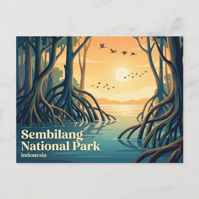 Carte Postale Parc national de Sembilang Indonésie (Devant)
