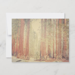 Carte Postale Parc national de Sequoia