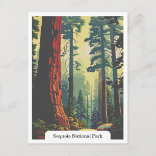 Carte Postale Parc national de Sequoia, Californie États-Unis