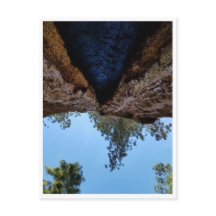 Parc national de Sequoia : Jours de chien