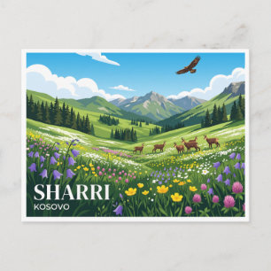 Carte Postale Parc national de Sharri Alpages Dragash Kosovo