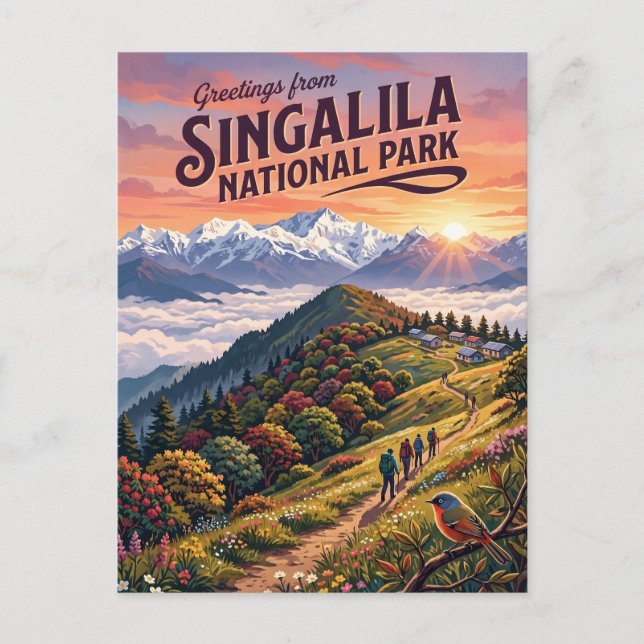 Carte Postale Parc national de Singalila Inde (Devant)