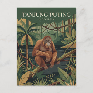 Carte Postale Parc national de Tanjung Puting Indonésie