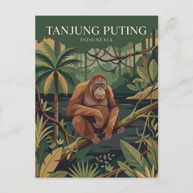 Carte Postale Parc national de Tanjung Puting Indonésie (Devant)