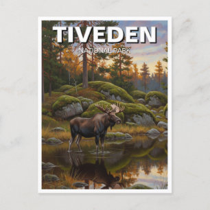 Carte Postale Parc national de Tiveden Suède Travel