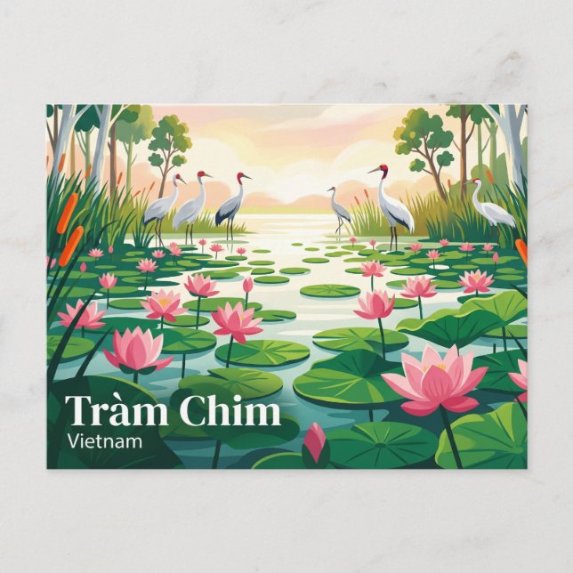 Carte Postale Parc national de Tràm Chim Viêt Nam (Devant)