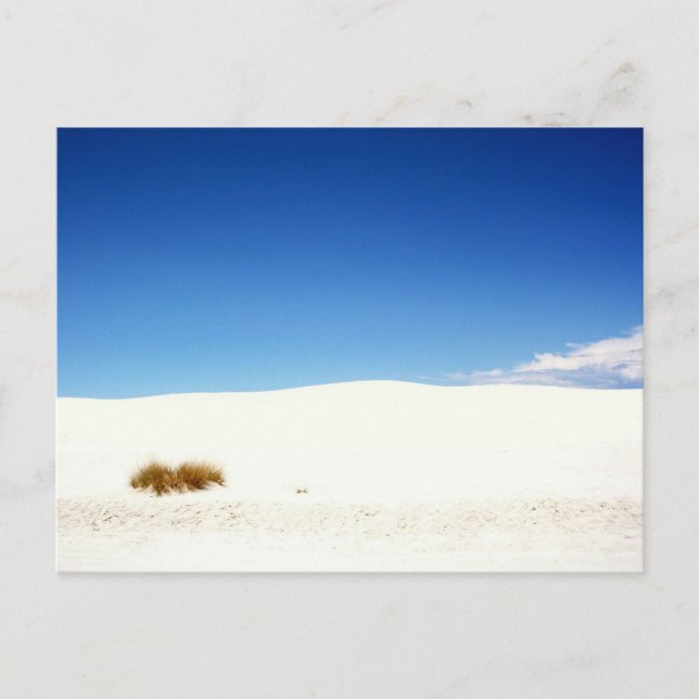 Carte Postale Parc national de White Sands, Nouveau-Mexique (Devant)