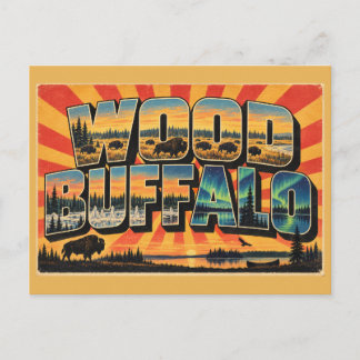 Carte Postale Parc national de Wood Buffalo Bison Ciel Sombre Ar