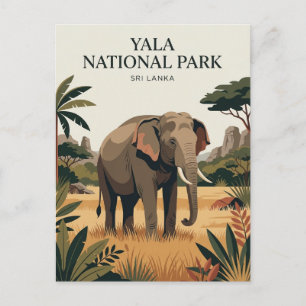 Carte Postale Parc national de Yala Sri Lanka