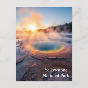 Carte Postale Parc national de Yellowstone