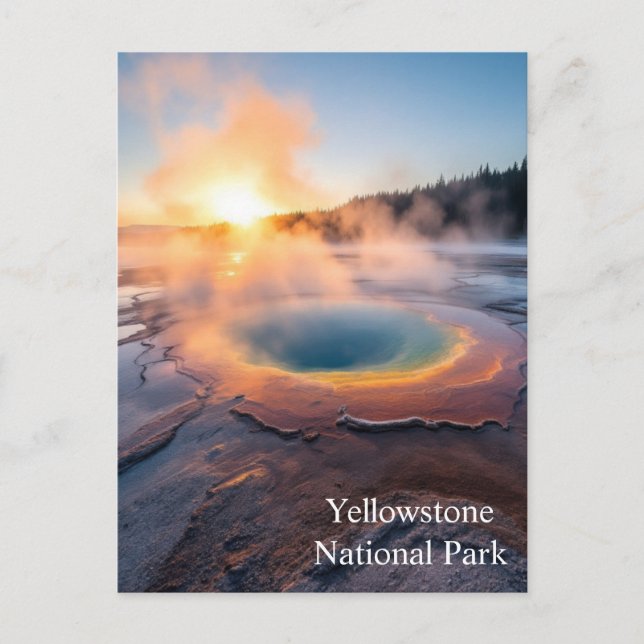 Carte Postale Parc national de Yellowstone (Devant)